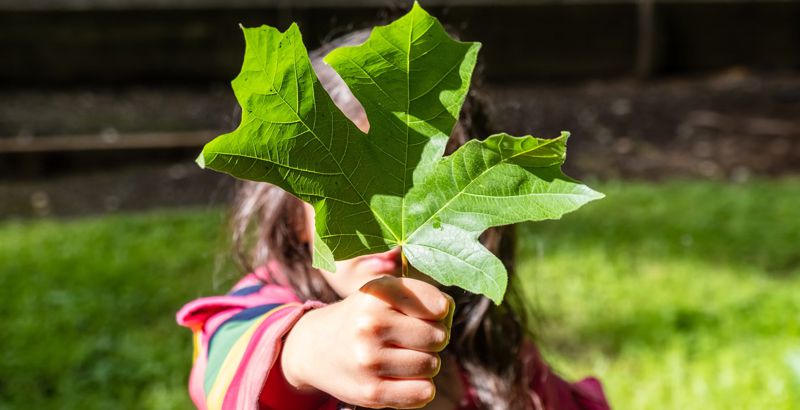 SISTEMA DE RECICLAJE EFICIENTE